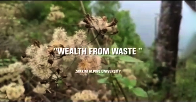 Award winning documentary video by our students on “wealth from waste “